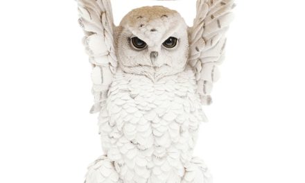 KARE DESIGN sidebord Animal Owl Ø35 cm