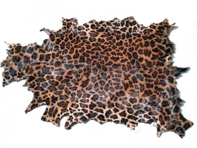 Gedeskind, Leopard print.