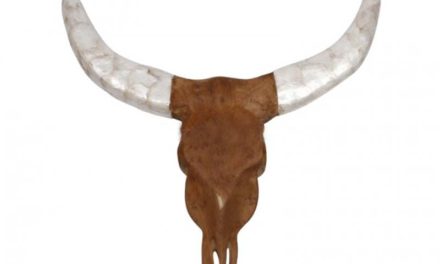 Buffalo hoved, teak træ, hvide horn