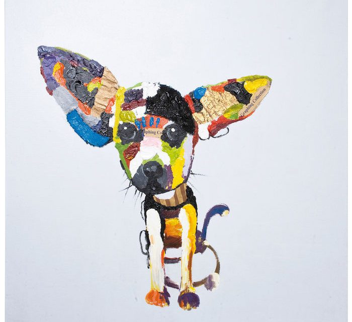 KARE DESIGN Oliemaleri, Chihuahua 100×100