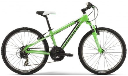 Haibike Rookie 4.10 MTB – 24" – grøn – 21 gear