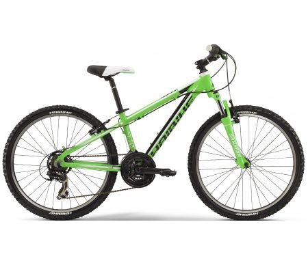 Haibike Rookie 4.10 MTB – 24" – grøn – 21 gear